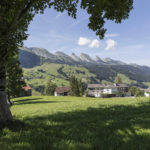 Wildhaus_Sunnehus_Aussicht_Churfirsten_Sommer